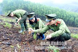 Cụm thi đua An ninh Công an tỉnh phát động 'Tết trồng cây đời đời nhớ ơn Bác Hồ' tại xã Yên Trạch