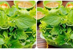 Tác dụng của rau kinh giới