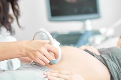 Giới tính thai nhi được xác định thời điểm nào?
