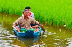 Xây dựng Bạc Liêu trở thành trung tâm công nghiệp tôm của cả nước