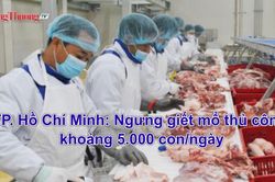 Thành phố Hồ Chí Minh: Ngưng giết mổ thủ công khoảng 5.000 con/ngày