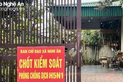 Thành phố Vinh tiêu hủy 2.500 con gia cầm nhiễm H5N1