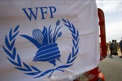 WFP cần hàng tỷ USD cứu đói