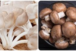 Những ai không nên ăn nấm?