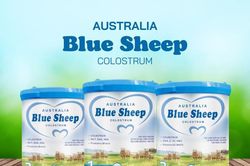 Blue Sheep Colostrum – Bổ sung MCT giúp bé tăng cân hiệu quả
