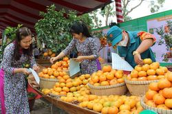 Đồng Tháp: Hướng tới xây dựng làng thông minh