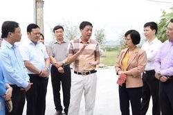 Chưa đạt mục tiêu hỗ trợ cho cơ sở giết mổ do DN ít mặn mà