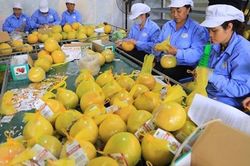 ADB: GDP của Việt Nam năm 2023 khả quan nhờ 3 đột phá