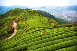 ADB: Việc Trung Quốc mở cửa trở lại đã nâng cao triển vọng kinh tế châu Á