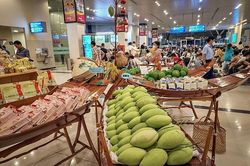 Đồng Tháp: Sẵn sàng cho Lễ hội xoài năm 2023
