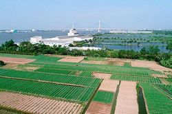 Thực hiện tốt các chính sách nhằm tăng cường khối đại đoàn kết toàn dân tộc