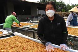 'Vị ngọt' muối tôm ớt Tây Ninh