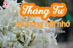 Tản văn hay: Tháng Tư về trong nỗi nhớ