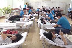 Khắp nơi trong tỉnh ngày 6-4-2023