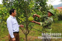 Các cấp hội cựu chiến binh: Giúp đỡ hội viên giảm nghèo, nâng cao đời sống
