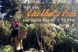Độc đáo bài thuốc tắm của người Dao đỏ ở Tả Phìn