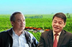 HNG không chia cổ tức vì lỗ lũy kế hơn 7.000 tỷ