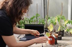 Phát hiện âm thanh của thực vật