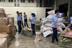 Thu giữ gần 7.000 điếu xì gà ngoại nhập