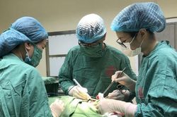 Loại bỏ 90 hạch trong cổ người phụ nữ bị ung thư di căn