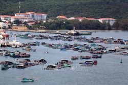 Kiên Giang: Tổng sản lượng khai thác và nuôi trồng thủy sản giảm hơn 11%