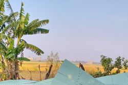 Ia Pa: 1 người bị sét đánh phải nhập viện