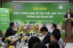 Để khơi dậy niềm tin, phát huy vai trò của khu vực HTX