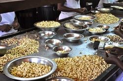 Nhập khẩu hạt điều sơ chế từ châu Phi, ngành điều Việt Nam cần thận trọng