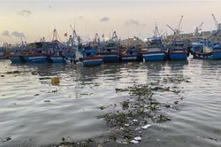Đầu tư 795.000 USD thực hiện thí điểm phi dự án mô hình quản lý rác thải