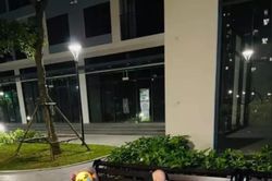 Khi các anh chồng can đảm 'bật' vợ nhưng thần may mắn từ chối mỉm cười