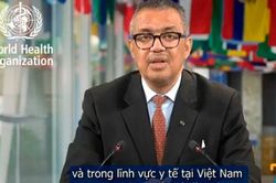 Tổng Giám đốc WHO khen ngợi những thành tựu y tế công của Việt Nam nhân Ngày Sức khỏe Thế giới