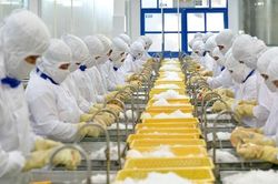 Hàng Việt tiến vào thị trường châu Mỹ