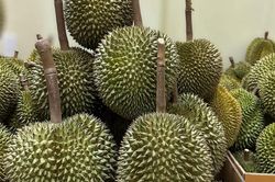 Sầu riêng ngon nhất thế giới đổ bộ chợ Việt, đắt nhất 4 triệu đồng/quả
