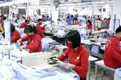 Liên kết doanh nghiệp để tạo thương hiệu ngành hàng