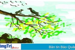 Trong rói nắng nguyên xuân