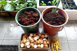 6 lợi ích quý giá từ vỏ trứng gà, số 1 nhiều người không biết