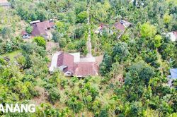 Về Hội An nơi… miệt trung du Tiên Phước