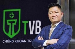 Hoãn xét xử chủ tịch Louis Holdings và 2 sếp chứng khoán Trí Việt