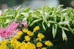 Thời tiết ngày 10/4/2023: Nhiệt độ ở miền Bắc tăng dần lên