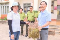Bình Phước: Bắt được 2 cá thể rái cá quý hiếm, bàn giao cho kiểm lâm