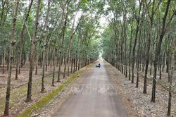 Công ty Việt Nam tại Lào gắn kết tình hữu nghị - Bài 1: Thay đổi diện mạo một vùng đất
