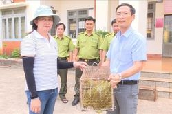 Bắt được hai cá thể rái cá quý hiếm, người dân bàn giao cho Kiểm lâm