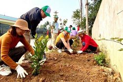 Hòa Bình: Lồng ghép nhiều hoạt động bảo vệ môi trường gắn với xây dựng nông thôn mới