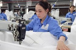 Thủ tục vay vốn phiền hà, hàng nghìn doanh nghiệp phải vay tín dụng đen