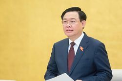 Báo cáo giám sát phòng dịch: Chỉ 3 dòng vụ Việt Á, vắng 'chuyến bay giải cứu'