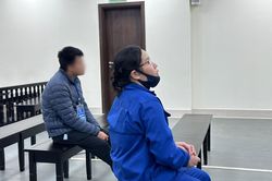 Lừa tiền tỷ, người phụ nữ lĩnh 24 năm tù