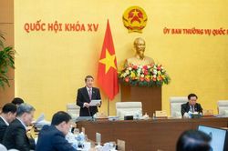 Cần đánh giá đầy đủ tác động của quản lý dịch vụ ứng dụng internet trong viễn thông
