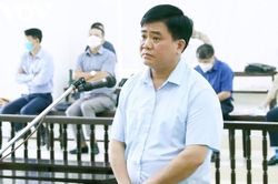 Trả hồ sơ, điều tra bổ sung ông Nguyễn Đức Chung vụ nâng giá cây xanh
