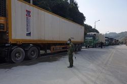 Vẫn tồn hơn 700 xe hoa quả chờ xuất sang Trung Quốc