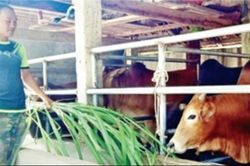 Bài 1: Tạo động lực để người dân vươn lên thoát nghèo